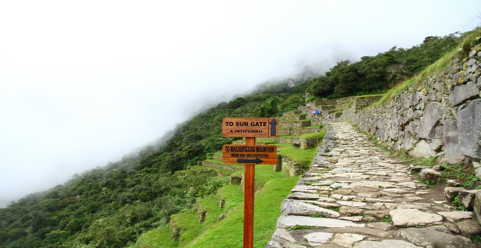 If you doa Machu Picchu tour package in the wet season, the increased rainfall rejuvenates the flora, resulting in lush, green landscapes. The terraces, surrounding mountains, and vegetation appear more gren, lush and picturesque. The rainy season is ideal for observing various flowers and even orchids, in bloom, adding color and beauty to to Machu Picchu.