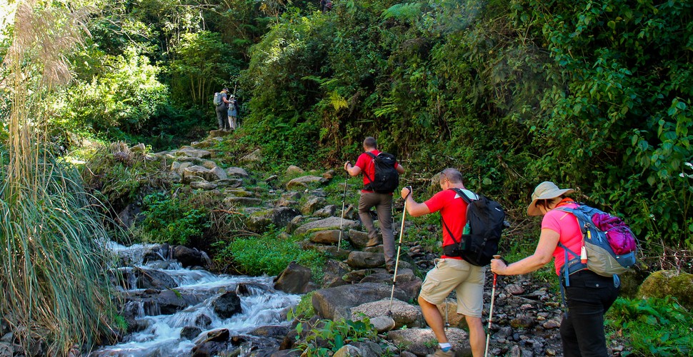 An amazing Inca Trail Group hitting the cloud forest!