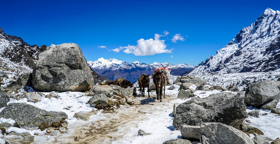 The highest point of The salkantay Trek - Salkantay Pass