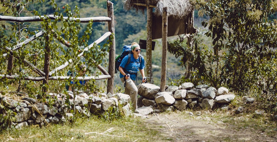 From The High Mountain Tops to The Cloudforest, The salkantay Trek is the king of Micro Climates and  EcoSystems!