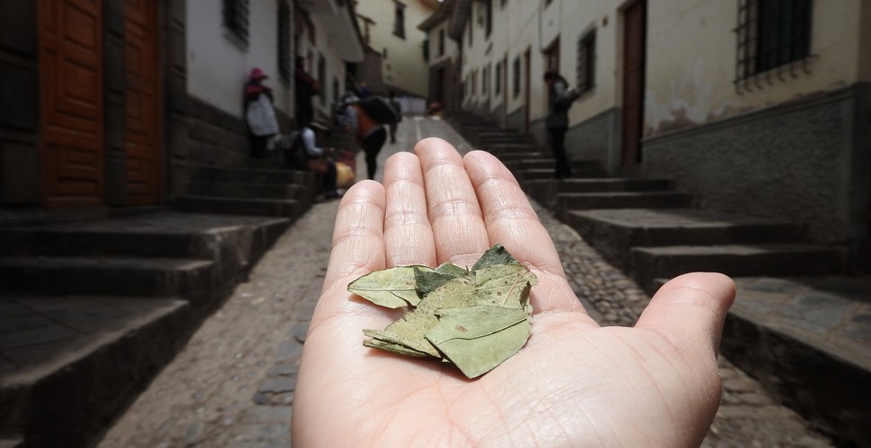 Coca Leaves are great to help you acclimatize for The rainbow Mountain Peru!