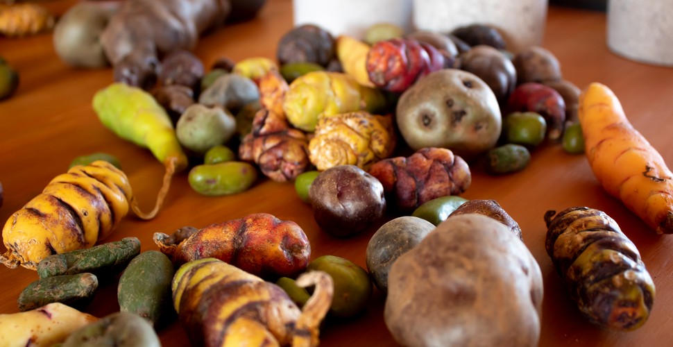 Spud-tastic Peruvian Potatoes! 