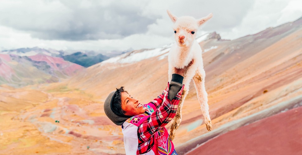 Baby Llama at Rainbow Mountain!