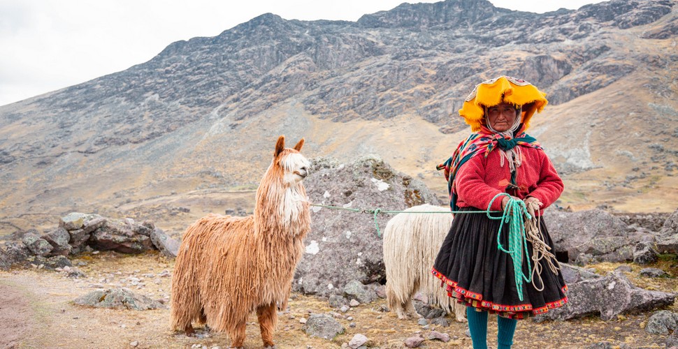 Indigenous Lady With Her Llamas!