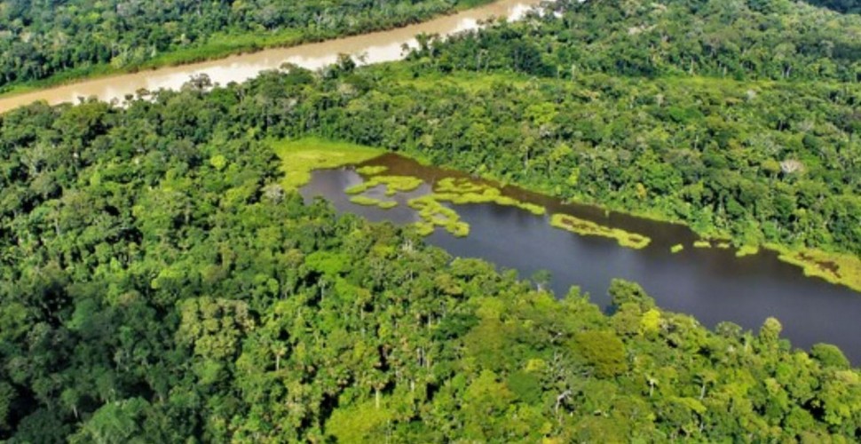 The Amazon River of Peru