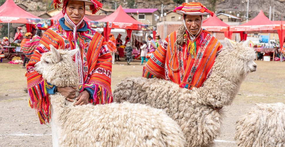 Rukha Community Near Hilloc in The Sacred Valley
