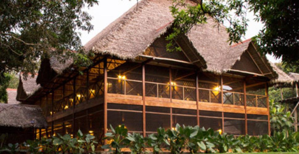 Stay at a Madre de Dios lodge such as Hacienda Concepción!